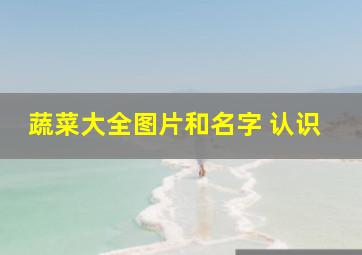 蔬菜大全图片和名字 认识